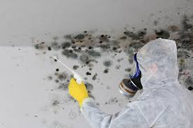 Environmental Consulting for Mold Prevention in Dos Palos, CA